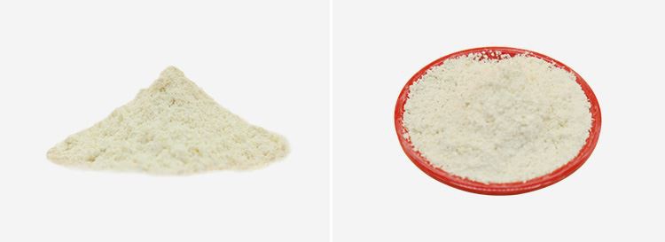 Gamma Oryzanol Powder 2