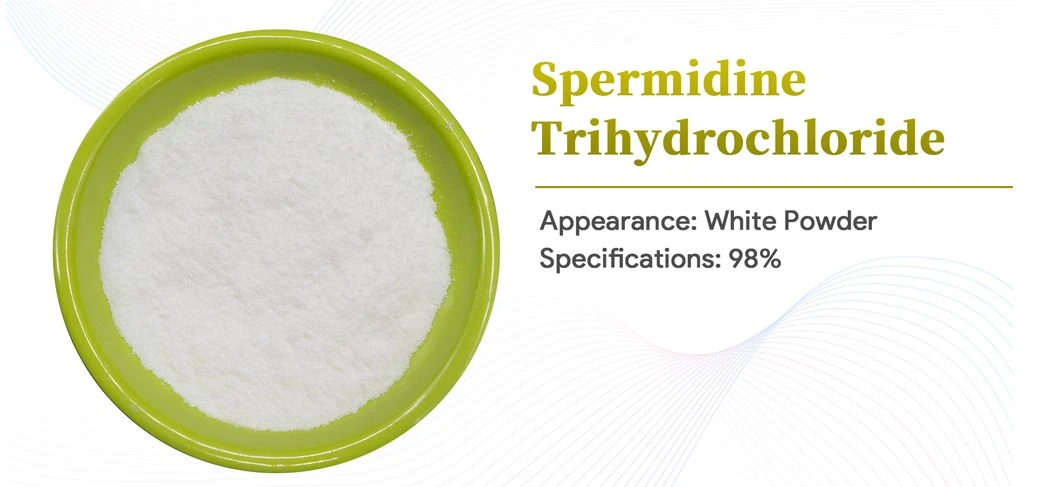 Spermidine Hydrochloride