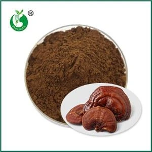 Efectos y contraindicaciones de tomar polvo de esporas de ganoderma