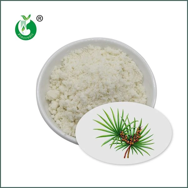 Polvo de extracto de Saw Palmetto