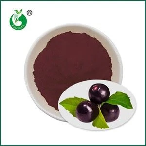 Polvo de jugo de baya de acai
