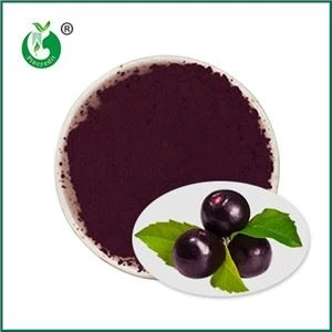 Polvo puro de Acai