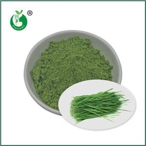 Polvo de hierba de trigo