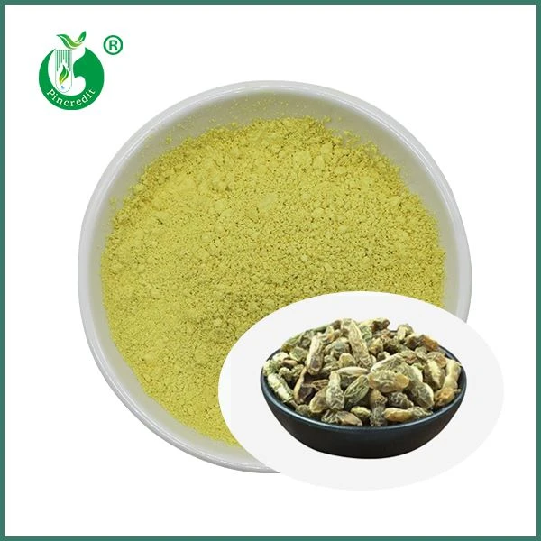 Venta al por mayor de polvo de kaempferol