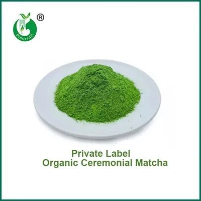 ¿Cuál es la diferencia entre el polvo de matcha y el polvo de té verde?