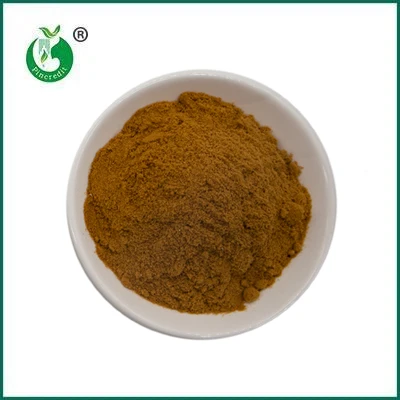 Pincredit Venta caliente polvo de extracto de hongo orgánico