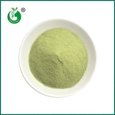 NOVEDAD: Matcha Latte en polvo