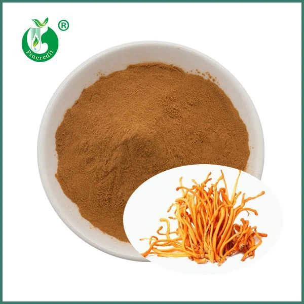 Extracto orgánico de hongo Cordyceps Militaris