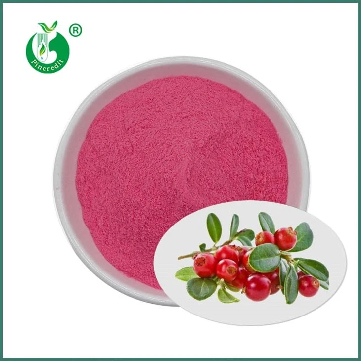 Polvo de jugo de arándano