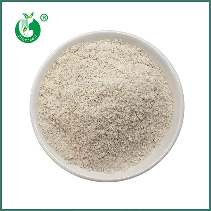 Trans Resveratrol Polvo